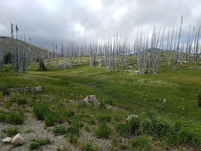 Meadows Campground Picture 8
