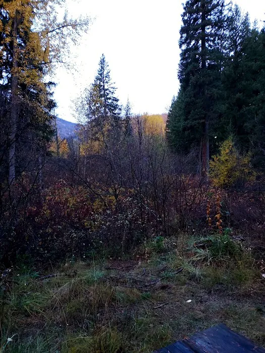 War Creek Campground Picture 7