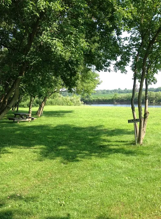 Treasure Isle RV Park Picture 2