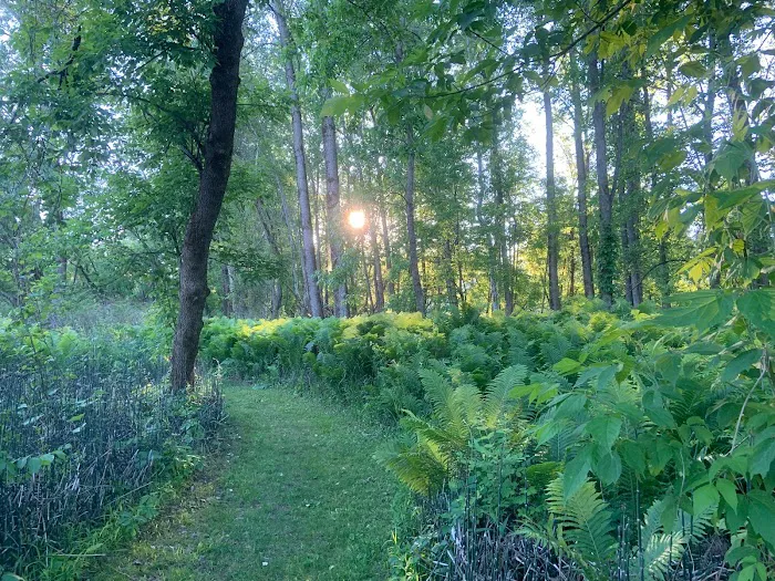 Treasure Isle RV Park Picture 6