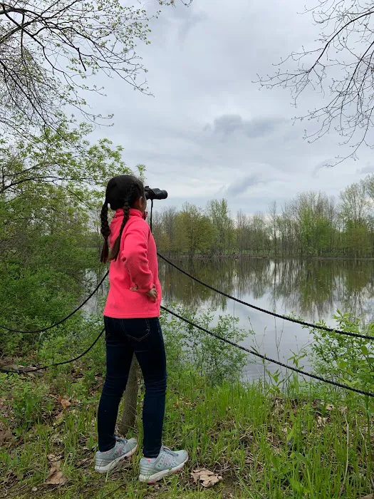 Treasure Isle RV Park Picture 3