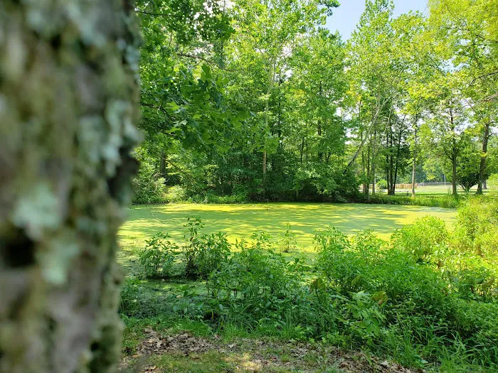 Windy Hollow Mobile Home Park Picture 3