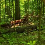 Windy Hollow Mobile Home Park