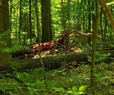 Windy Hollow Mobile Home Park