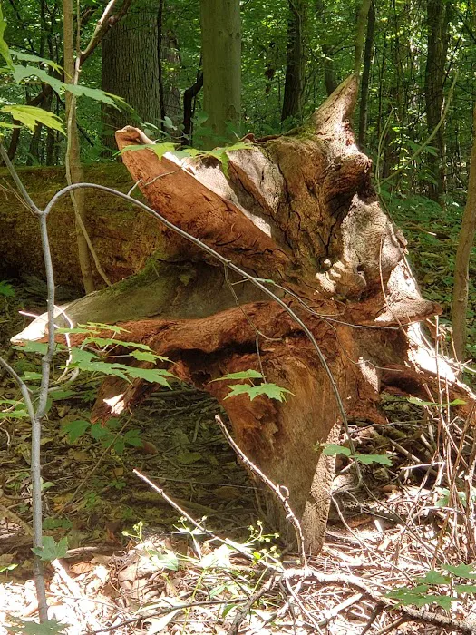 Windy Hollow Mobile Home Park Picture 9