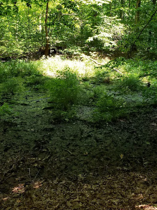 Windy Hollow Mobile Home Park Picture 8