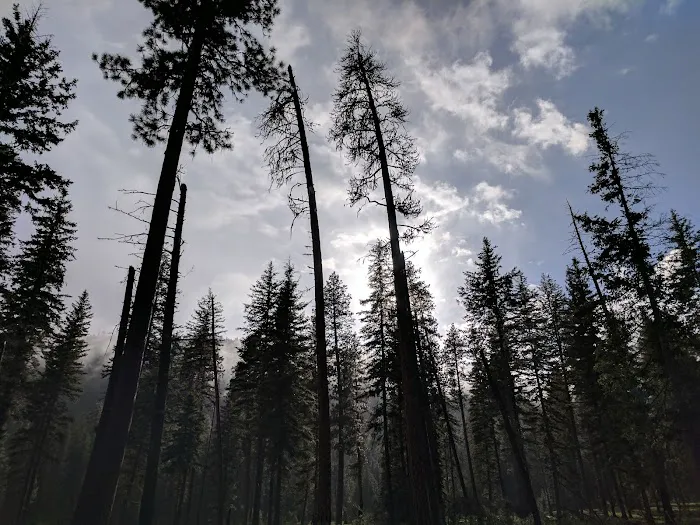 Honeymoon Campground Picture 7