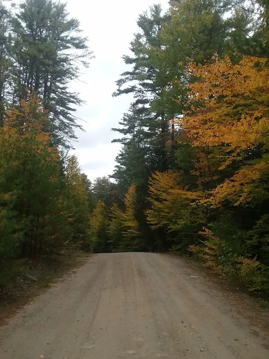 Loon Lake RV Park Picture 6