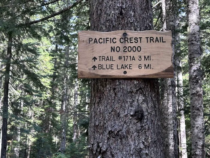 Campground: Crest Camp/Trailhead Picture 6