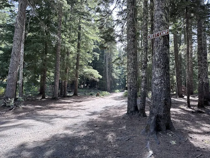 Campground: Crest Camp/Trailhead Picture 3