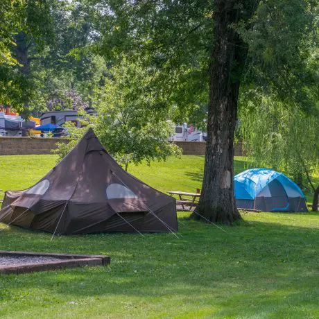 Yogi Bear’s Jellystone Park Camp-Resort at Milton Picture 10
