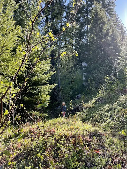 Waterfall Sanctuary Picture 4