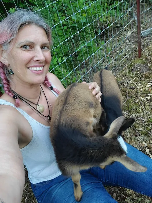 Waterfall Sanctuary Picture 6