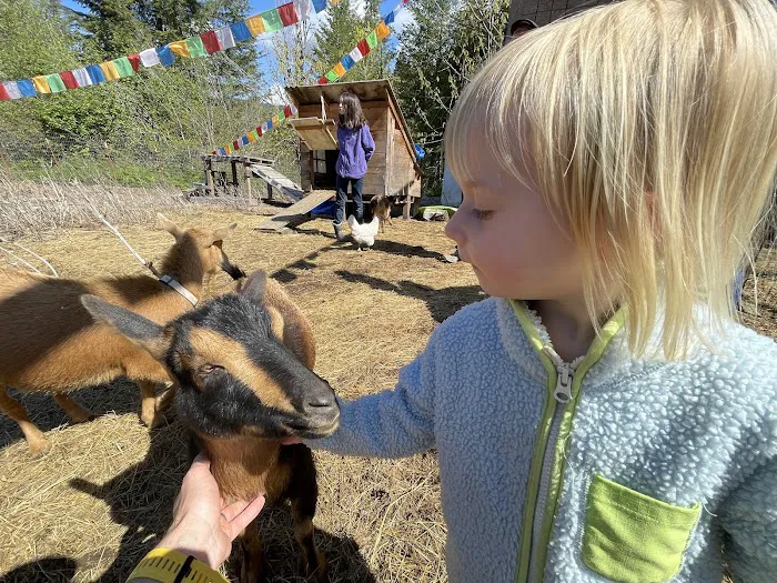 Waterfall Sanctuary Picture 2