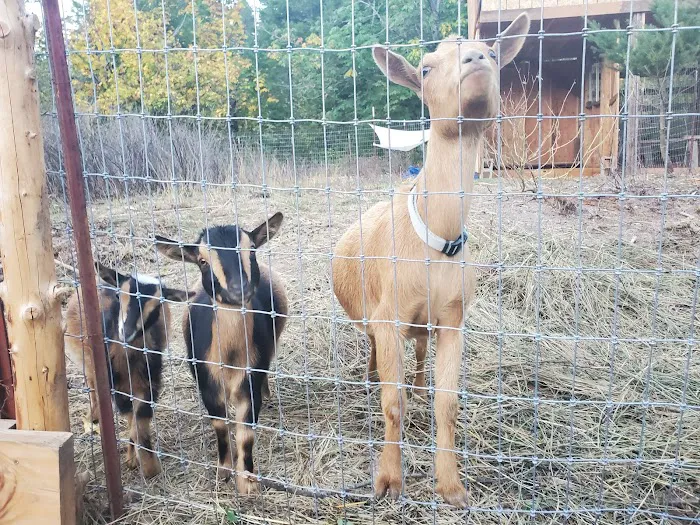 Waterfall Sanctuary Picture 1