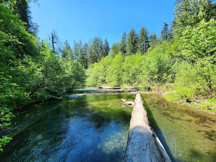 Panther Creek Campground Picture 7