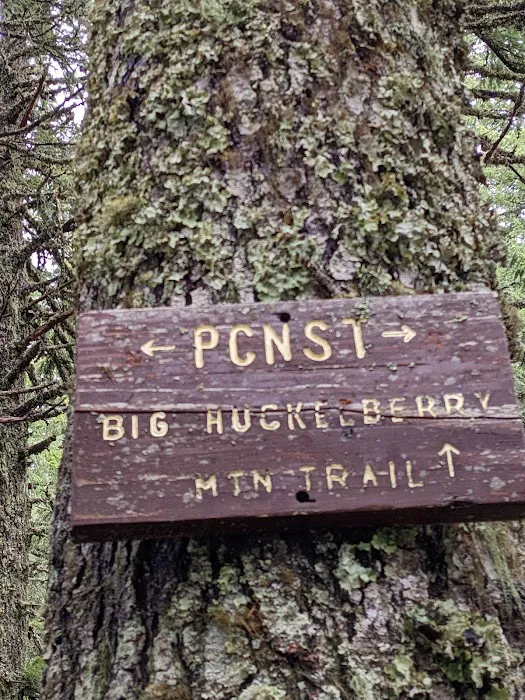 Panther Creek Campground Picture 5