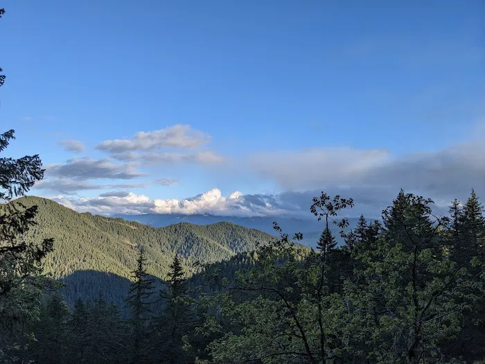 Panther Creek Campground Picture 3