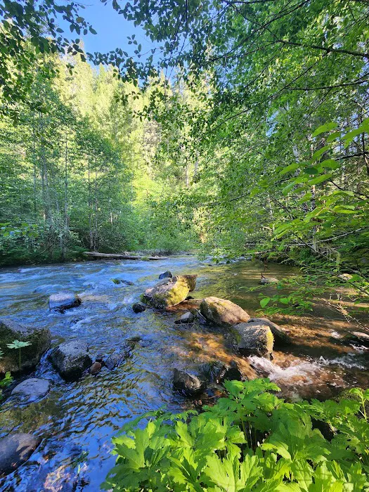 Panther Creek Campground Picture 6