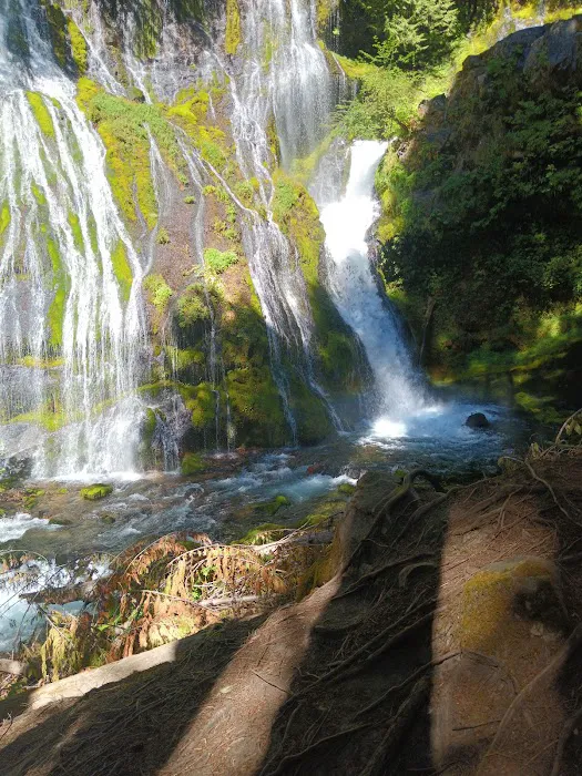 Panther Creek Campground Picture 1