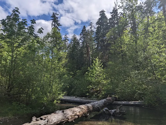 Panther Creek Campground Picture 9