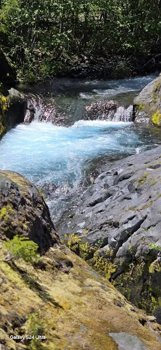 Cresap Bay Campground Picture 2