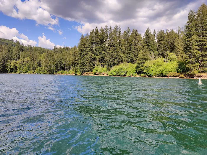 Cresap Bay Campground Picture 7