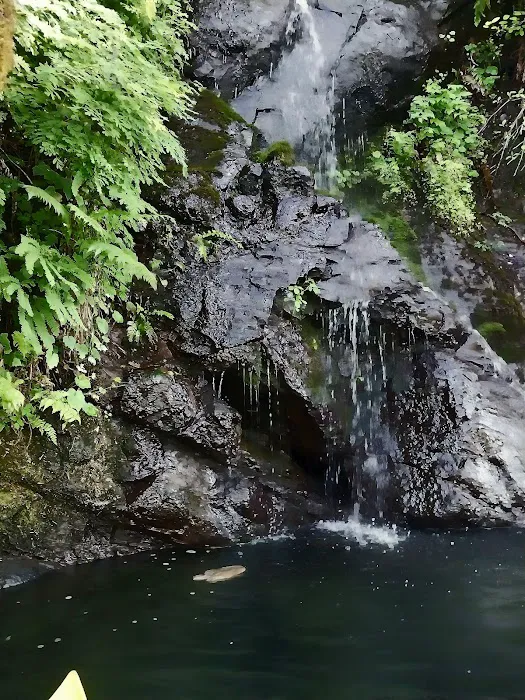 Cresap Bay Campground Picture 6