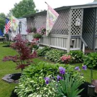 The Meadows at Watsontown, LLC ico