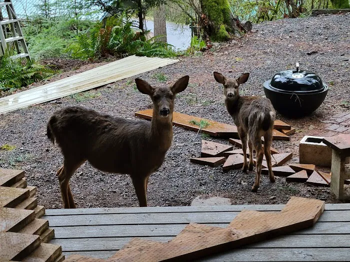 Lake Merwin Camper's Hideaway Picture 2