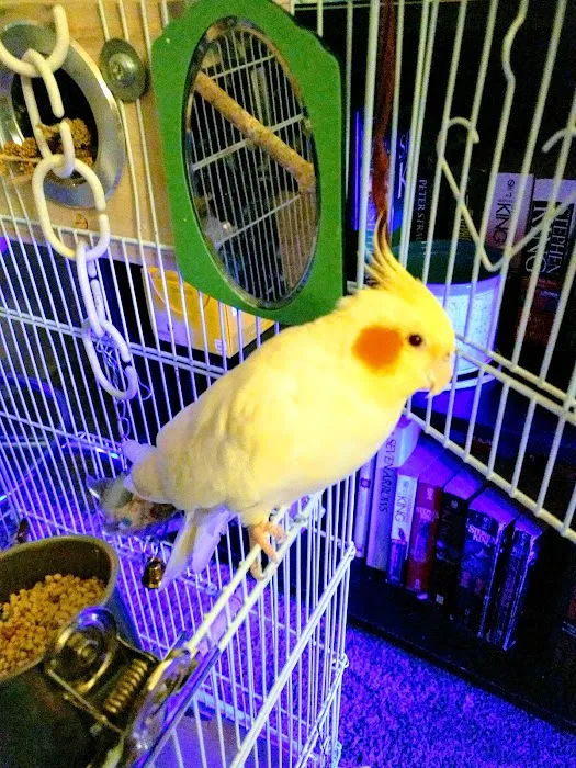 Pine Valley Mobile Court Picture 1