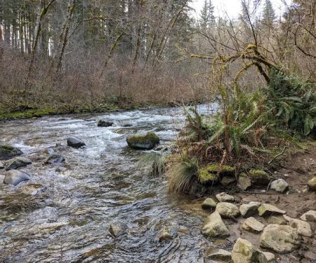 Rock Creek Campground