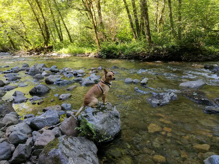 Rock Creek Campground Picture 9