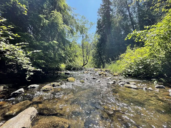 Cold Creek Campground Picture 3
