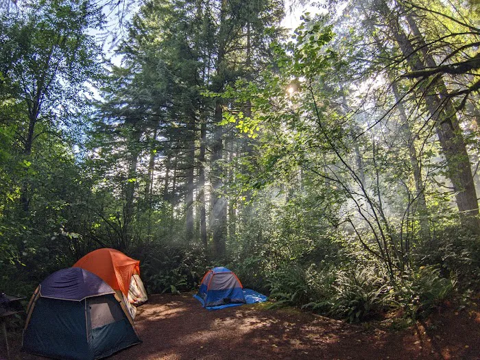 Cold Creek Campground Picture 4