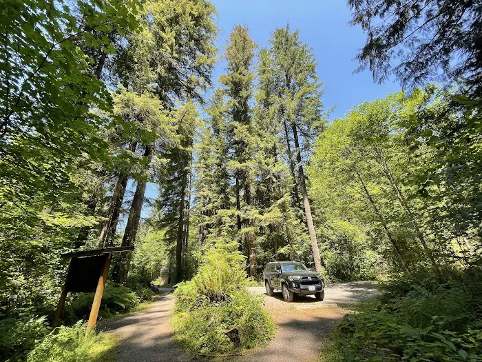 Cold Creek Campground Picture 5