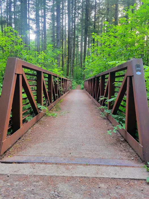 Cold Creek Campground Picture 9