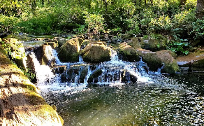 Cold Creek Campground Picture 10