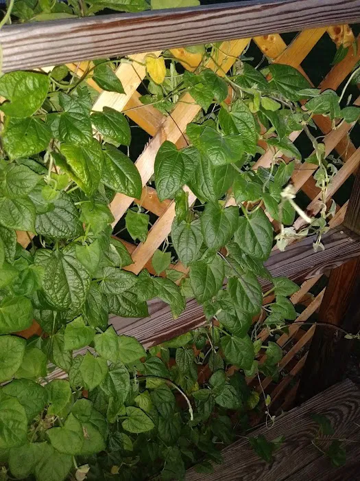 81 Lenwood Park Picture 2