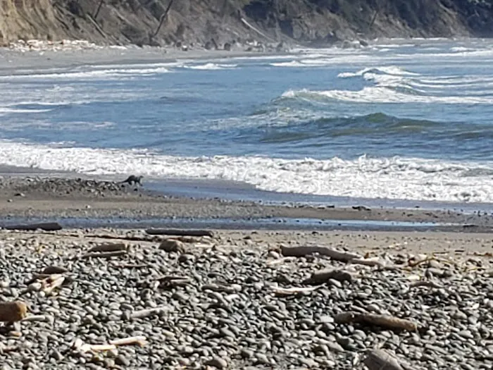 Cedar Creek Picture 3