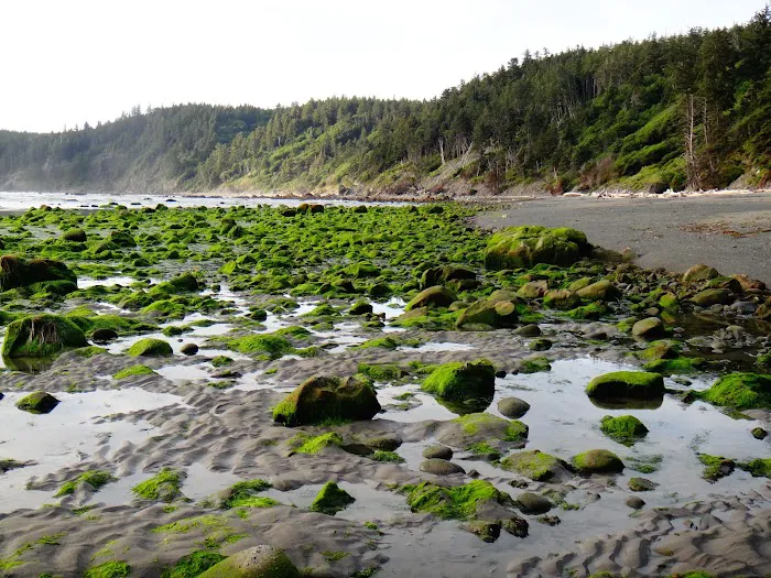 Seafield Creek Picture 1