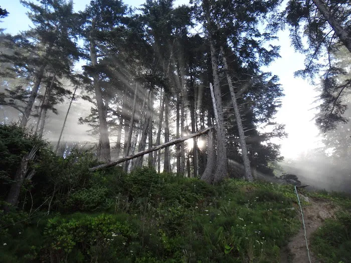 Seafield Creek Picture 2