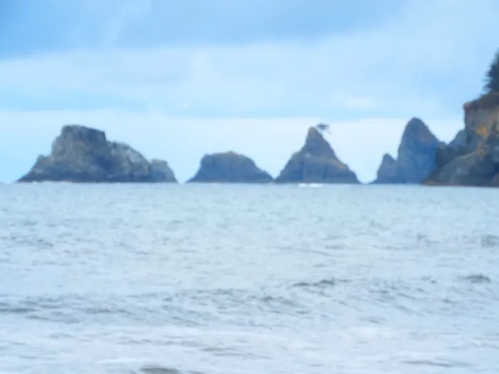 Seafield Creek Picture 9