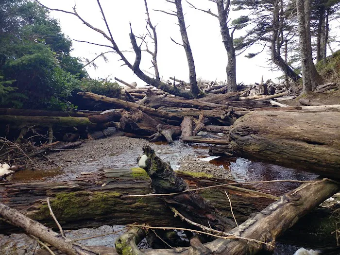 Seafield Creek Picture 6