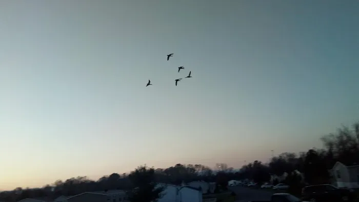 lakeside village in hagerstown Picture 2