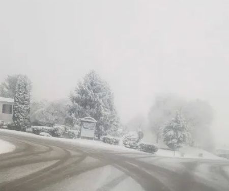 Chesapeake Mobile Homes