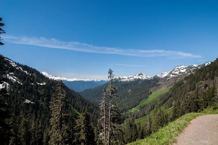 Twin Lakes Campgrounds Picture 9