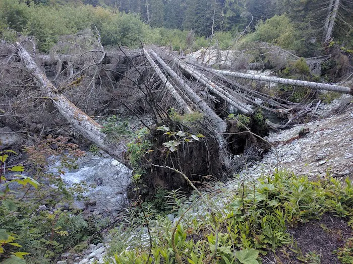 Hannegan Campground Picture 4