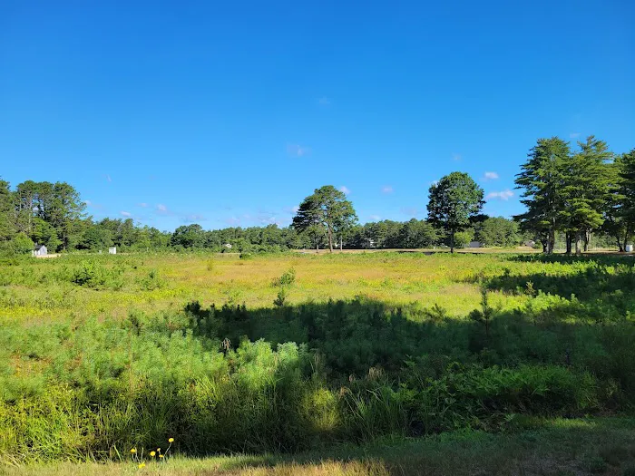 Cape Cod Maple Park Campground & RV Park Picture 8
