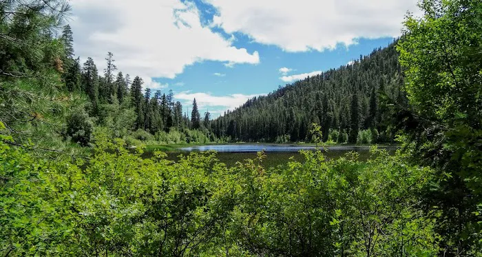 Buck Lake Campground Picture 6